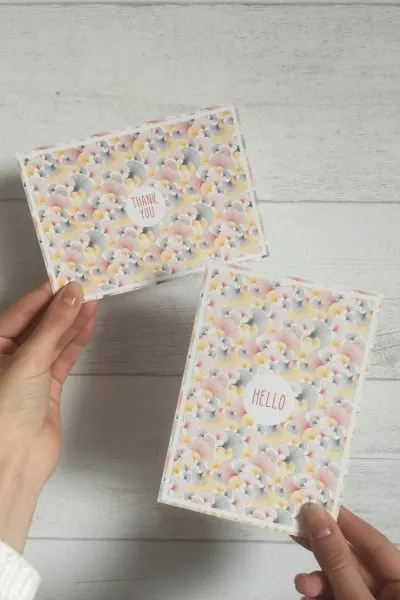 Lot de 2 cartes