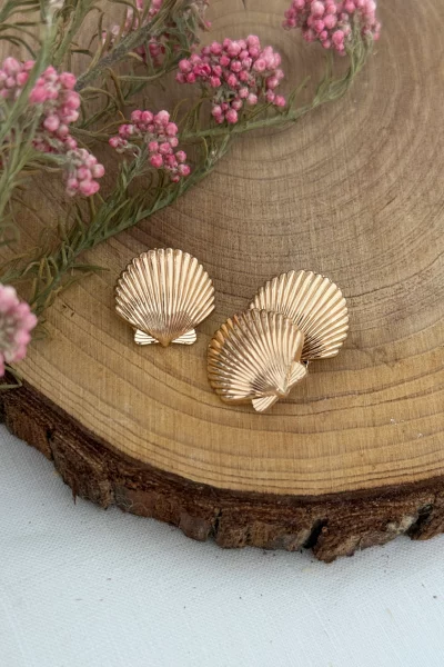 La mercerie Cha' coud, bouton coquillage